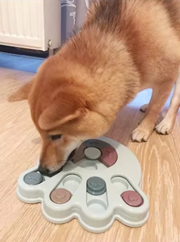 gamelle interactive pour grands chiens