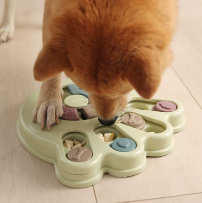 gamelle interactive pour grands chiens