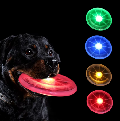 Frisbee lumineux pour chien