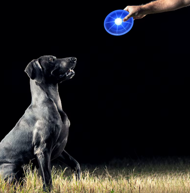 Frisbee lumineux pour chien
