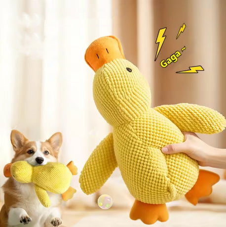 peluche canard pour chien