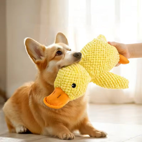 peluche canard pour chien