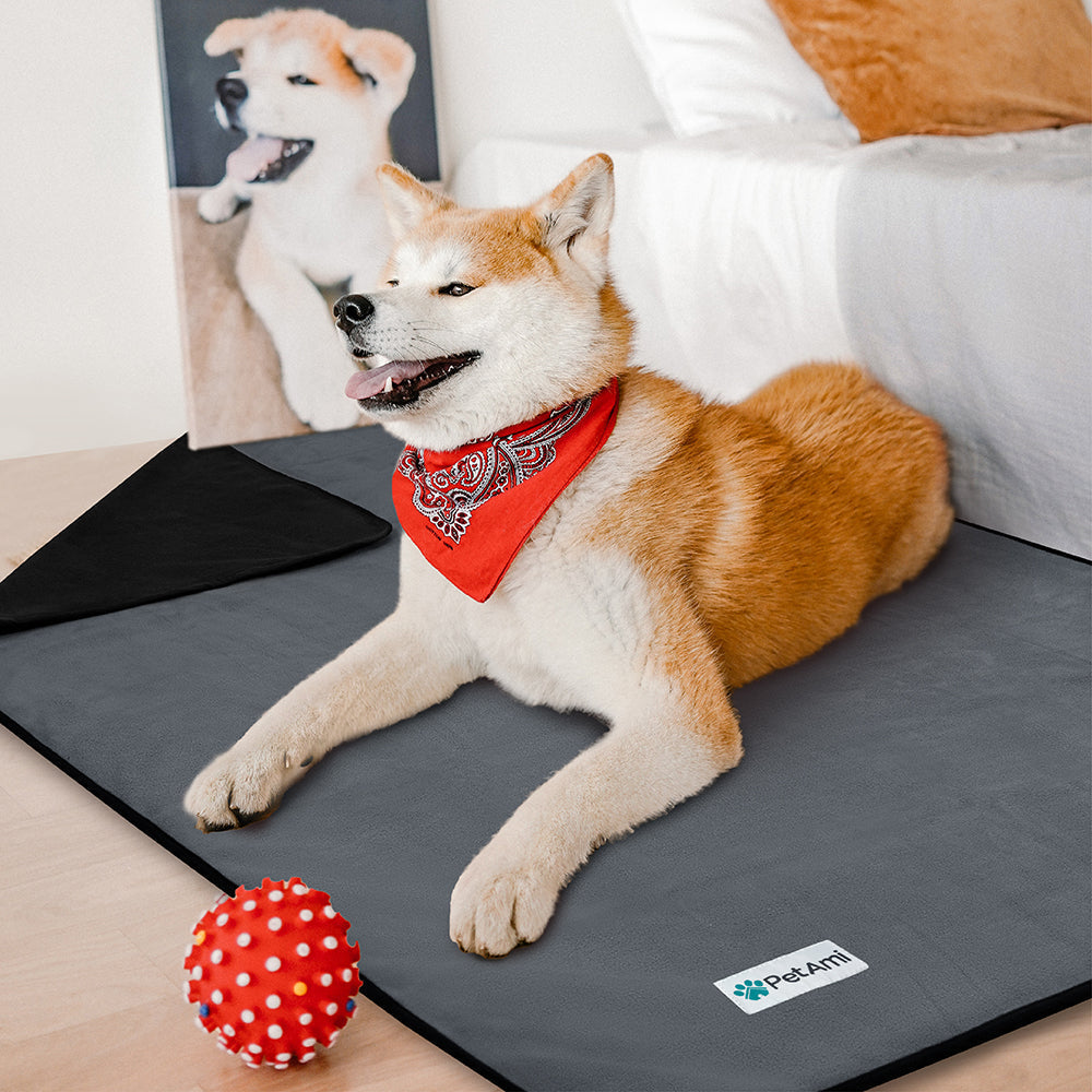 couverture waterproof pour chien