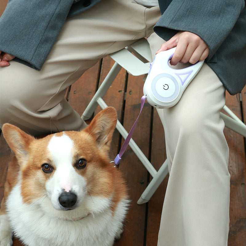 laisse rétractable pour chien