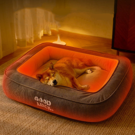 lit chauffant pour chien