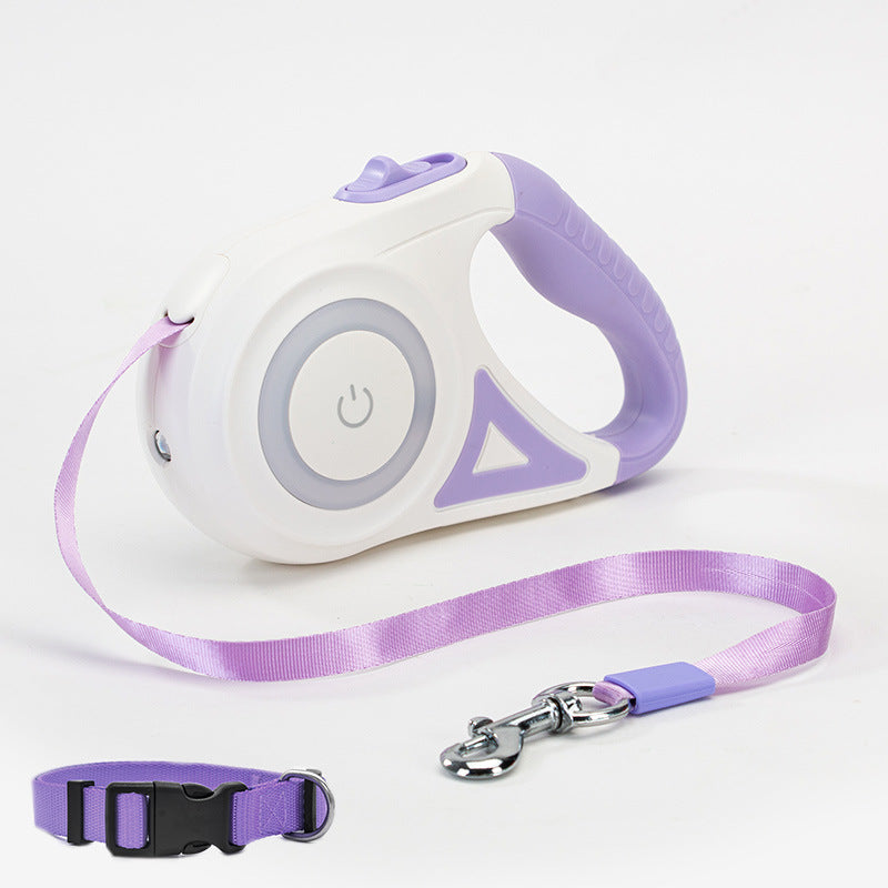 laisse rétractable pour chien